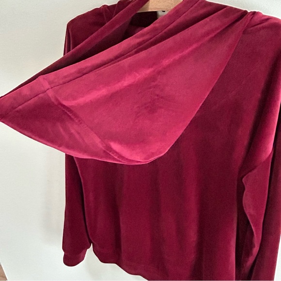 Loft ~SOFT Velour Pullover Hoodie in Small - Picture 7 of 11